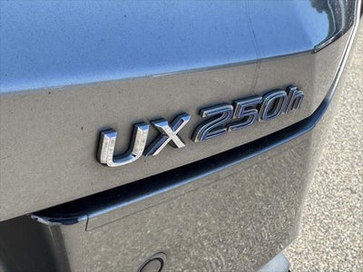 2019 Lexus UX 250h F SPORT