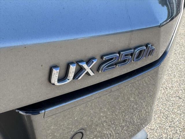 2019 Lexus UX 250h F SPORT