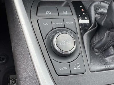 2023 Toyota RAV4 TRD Off Road